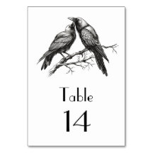 Kraaienliefhebber schets