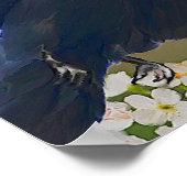 kraaikardinaal poster (Hoek)