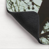 Kraaimuismat Muismat (Hoek)