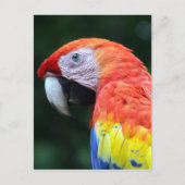  kraakbeenmerg briefkaart (Voorkant)