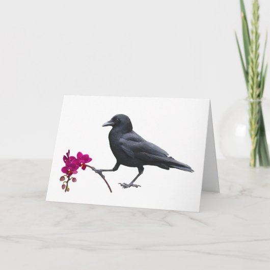 kraakorchideeënKaart Kaart (Voorkant)