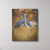 kraan canvas afdruk (Voorkant)