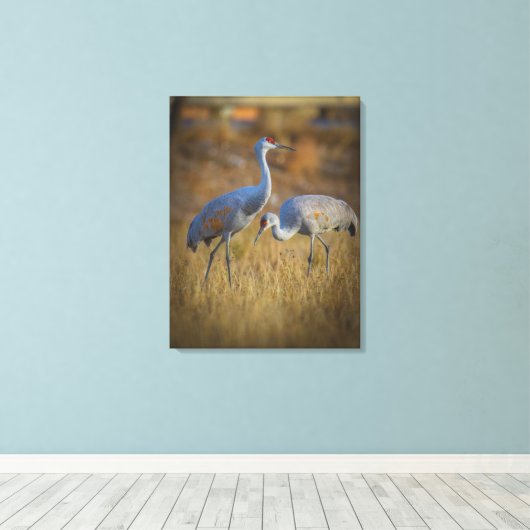 kraan canvas afdruk (Insitu (Houten vloer))