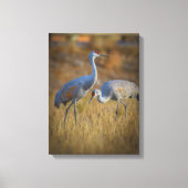 kraan canvas afdruk (Voorkant)