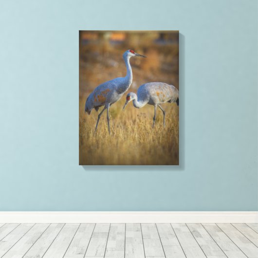 kraan canvas afdruk (Insitu (Houten vloer))