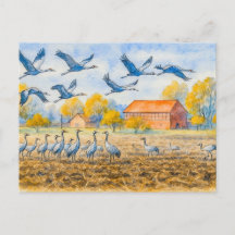 Kraan in veld rhinow aquarel havelland