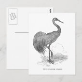 kraanpen voor de vogelpen en de inkttekening briefkaart (Voorkant / Achterkant)