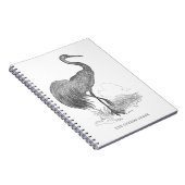  kraanpen voor de vogelpen en de inkttekening notitieboek (Rechterzijde)