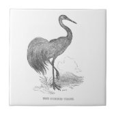  kraanpen voor de vogelpen en de inkttekening tegeltje (Voorkant)