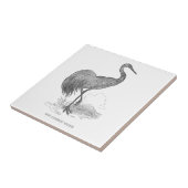  kraanpen voor de vogelpen en de inkttekening tegeltje (Zijkant)