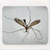 Kraanvlieg Insect Mousepad Muismat (Voorkant)
