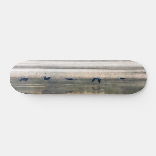 Kraanvlucht Painterly Skateboard (Horizontaal)