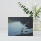 Kraanvogel bij het meer bij Sunset Briefkaart (Staand voorkant)