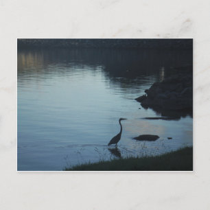 Kraanvogel bij het meer bij Sunset Briefkaart