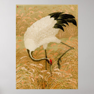 Kraanvogel in het rijstveld poster