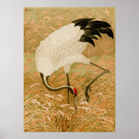 Kraanvogel in het rijstveld poster (Voorkant)