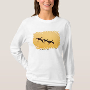 Kraanvogel landt bij zonsondergang t-shirt