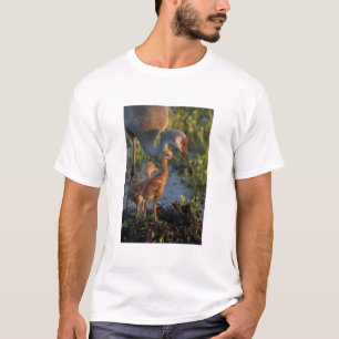Kraanvogel met kuikens, Florida T-shirt