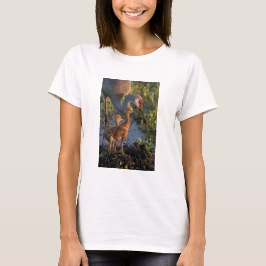 Kraanvogel met kuikens, Florida T-shirt (Voorkant)
