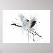 Kraanvogel Poster (Voorkant)