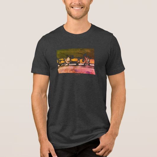 Kraanvogelballet Tri-Blend shirt (Voorkant)