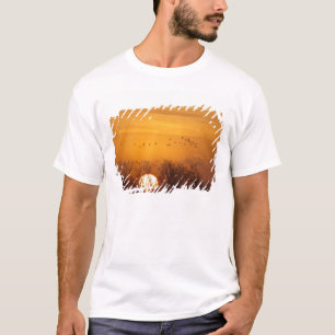 Kraanvogels als silhouet tegen opkomende zon t-shirt