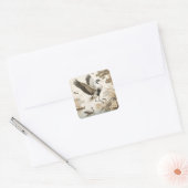 kraanvogels kraanvogelbehang vierkante sticker (Envelop)