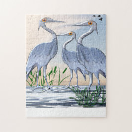 Kraanvogels Puzzel