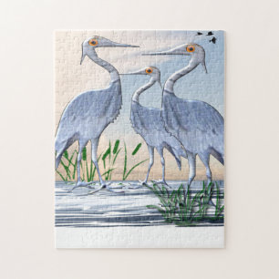 Kraanvogels Puzzel