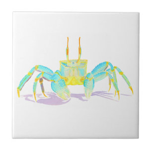 krab_6500_shirten tegeltje