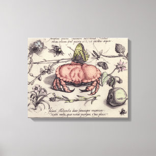 Krab Botanische Insect Bloem Illustratie Canvas Afdruk