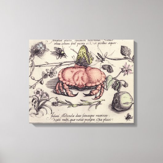 Krab Botanische Insect Bloem Illustratie Canvas Afdruk (Voorkant)