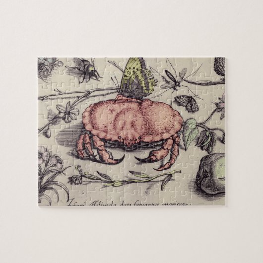 Krab Botanische Insect Bloem Illustratie Legpuzzel (Horizontaal)