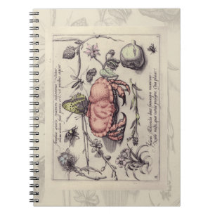 Krab Botanische Insect Bloem Illustratie Notitieboek