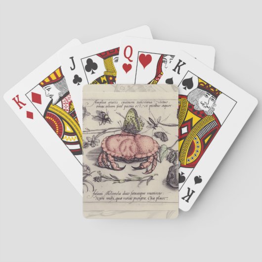 Krab Botanische Insect Bloem Illustratie Pokerkaarten (Achterkant)