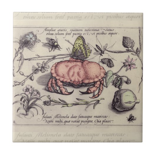 Krab Botanische Insect Bloem Illustratie Tegeltje (Voorkant)