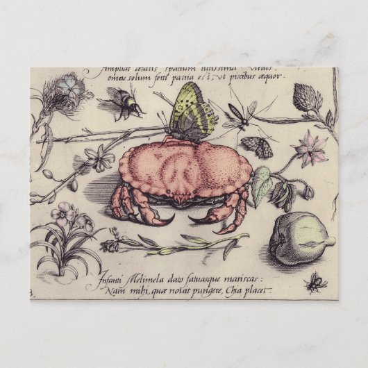 Krab Botanische Insecten Bloem Illustratie Briefkaart (Voorkant)