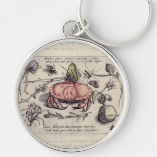 Krab Botanische Insecten Bloem Illustratie Sleutelhanger
