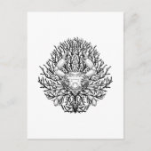 krab briefkaart (Voorkant)