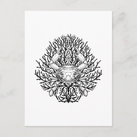 krab briefkaart (Voorkant)