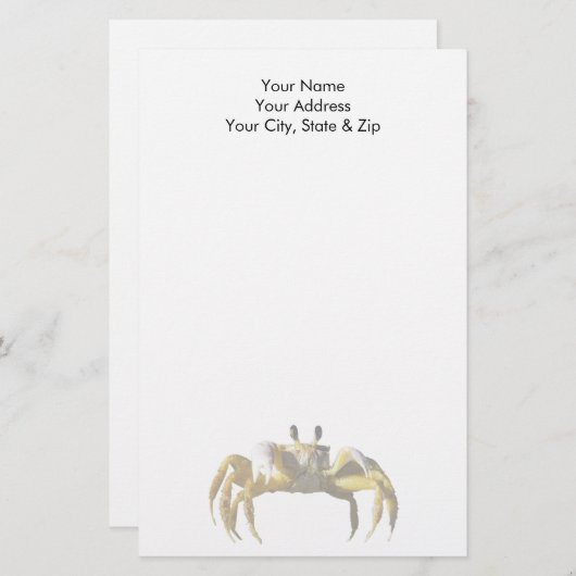 krab briefpapier (Voorkant / Achterkant)