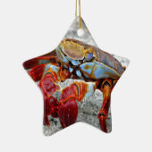 Krab foto keramisch ornament (Rechts)