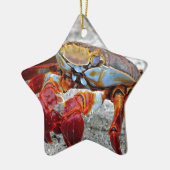 Krab foto keramisch ornament (Links)