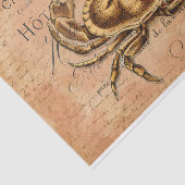  krab Frans Briefkaart Ontkoppeling weefselpap Tissuepapier (Detail)