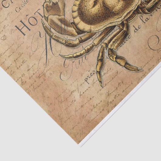 krab Frans Briefkaart Ontkoppeling weefselpap Tissuepapier (Detail)