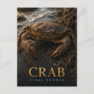 Krab Getijdenoevers Wilde Dieren DIER Briefkaart