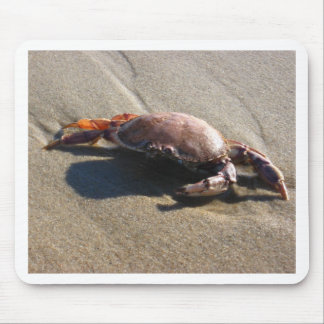 Krab, Het Strand van de Kustwacht Muismat