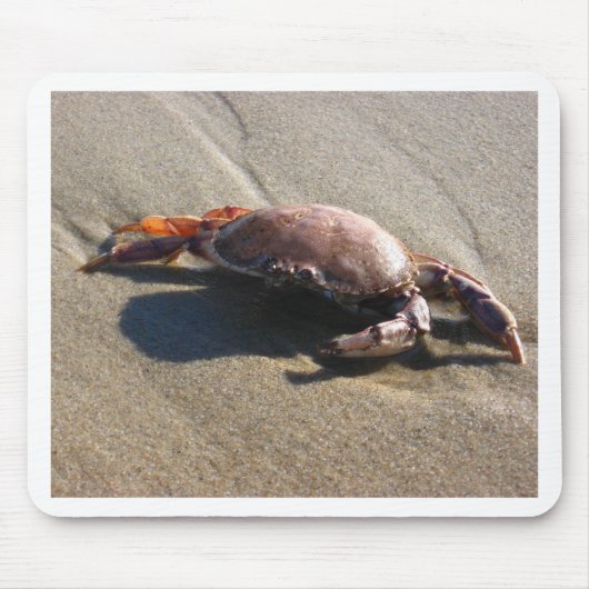Krab, Het Strand van de Kustwacht Muismat (Voorkant)