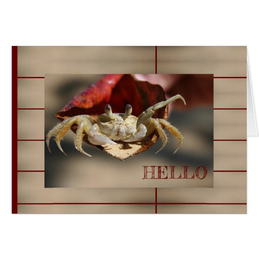 Krab in Wenskaart met rood leder (Voorkant Horizontaal)