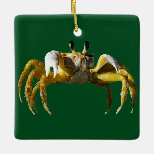 krab keramisch ornament (Voorkant)
